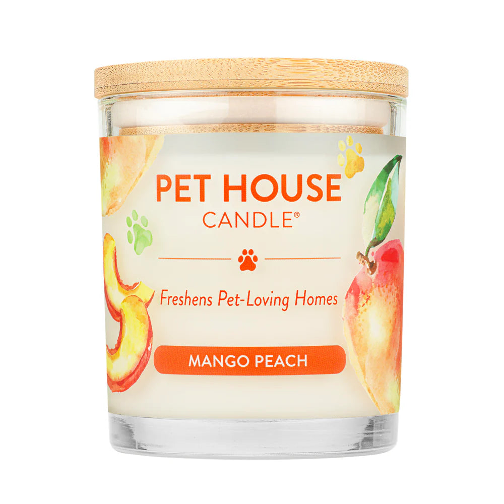 Bougie Yankee 1114681Z Bougie à grand pot Salsa à Benin Bougie Yankee 1114681Z Bougie à grand pot Salsa à Benin