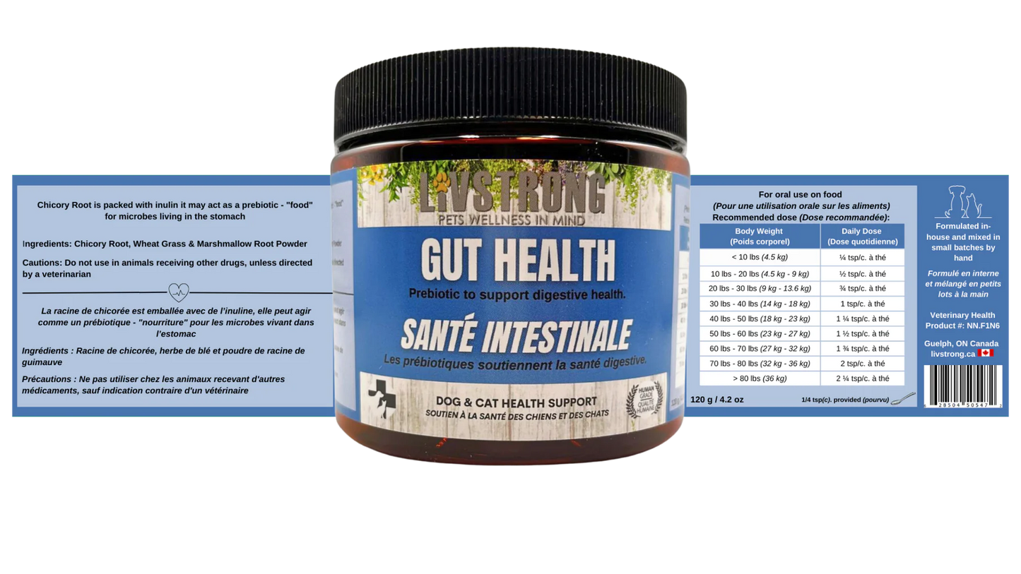 Santé intestinale - Supplément - Livstrong