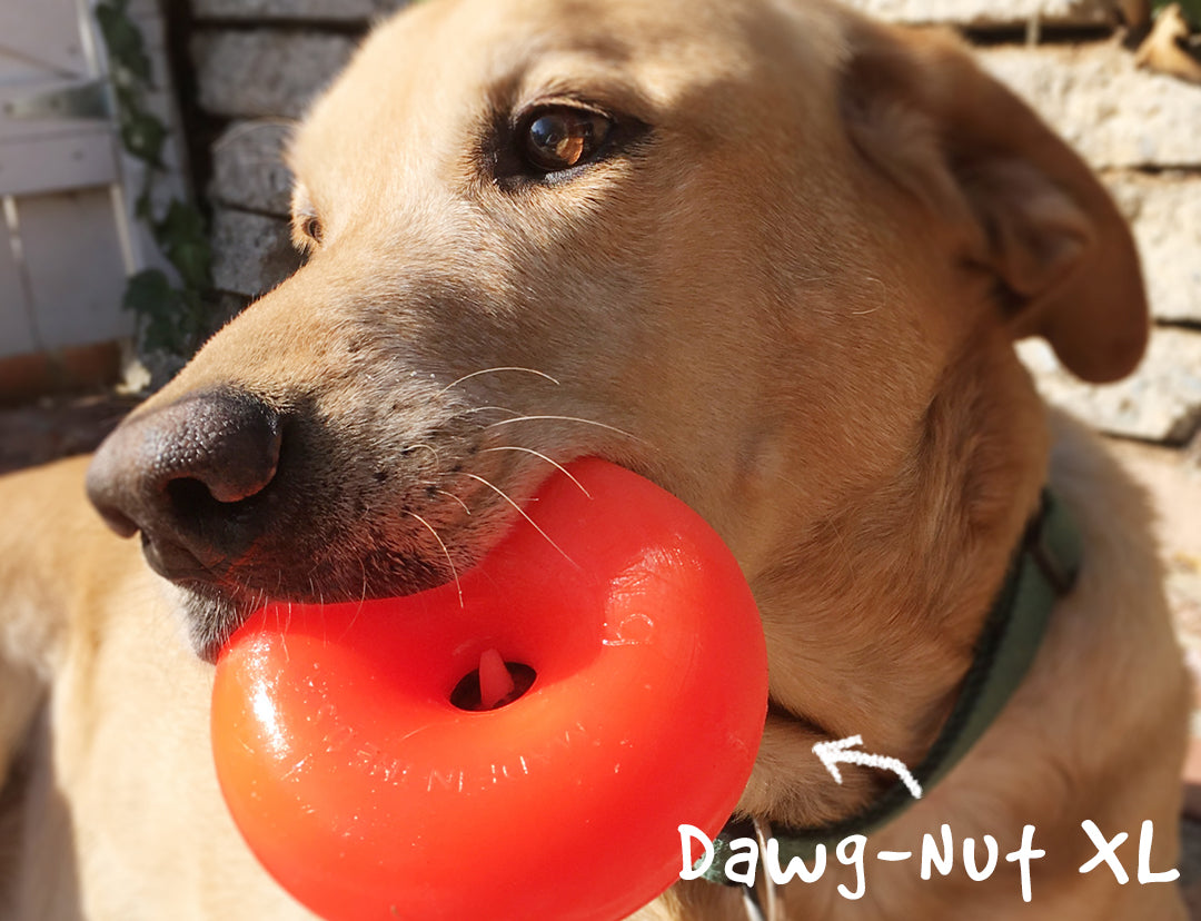 Dawg-nut XL - Jouets - Ruff dawg