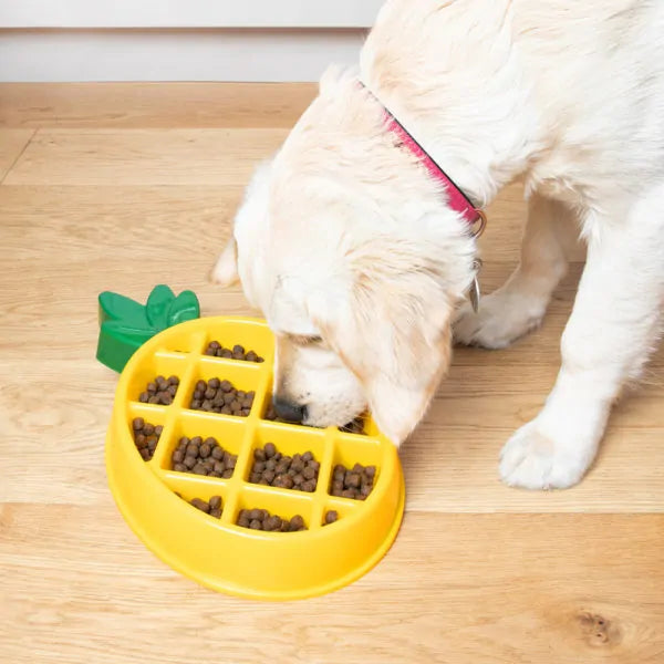 Happy bowl - Bol à alimentation lente (Ananas) - ZippyPaws