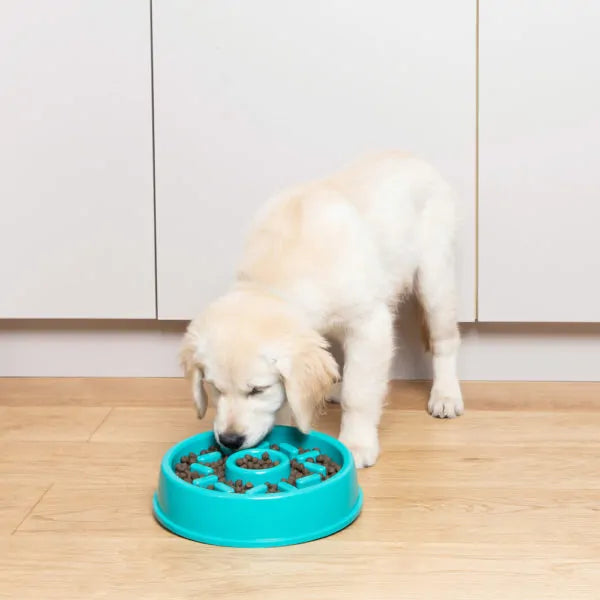 Happy bowl - Bol à alimentation lente (Beigne) - ZippyPaws