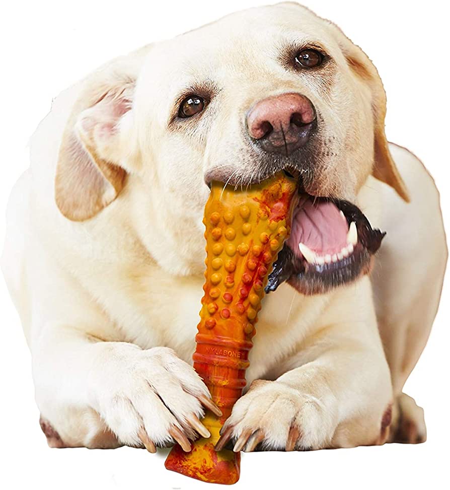 Flavor Frenzy Strong Chew (Pizza)- Jouets à mâcher - Nylabone