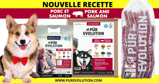 Porc & Saumon (formule chien adulte) - Pür Évolution