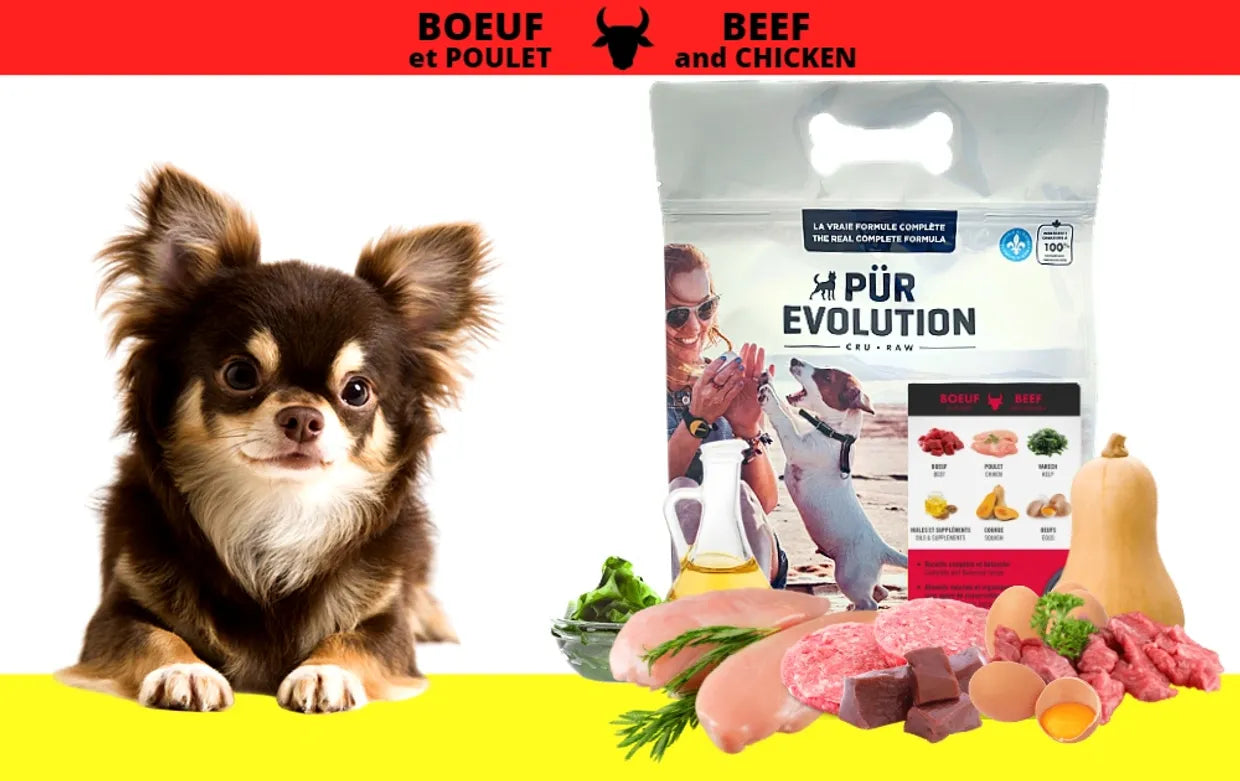 Bœuf & Poulet (formule chien adulte) - Pür Évolution