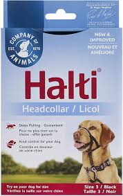 Halti - Licol - Company Of Animals